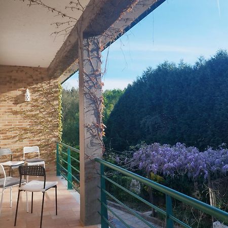 Casa Campo Ao Rio_Village Barcelos Exterior foto